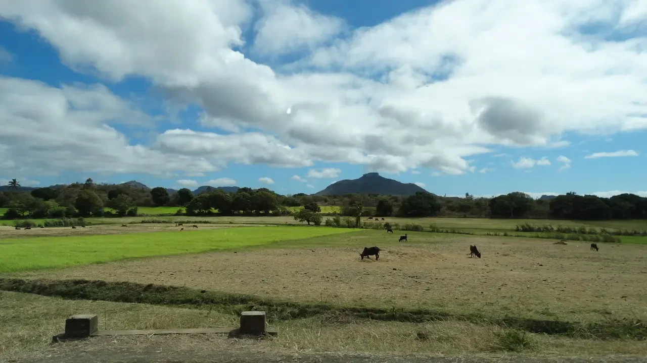 Paesaggio rurale con colline e cielo nuvoloso in Madagascar.