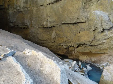 Ankarana N.P.