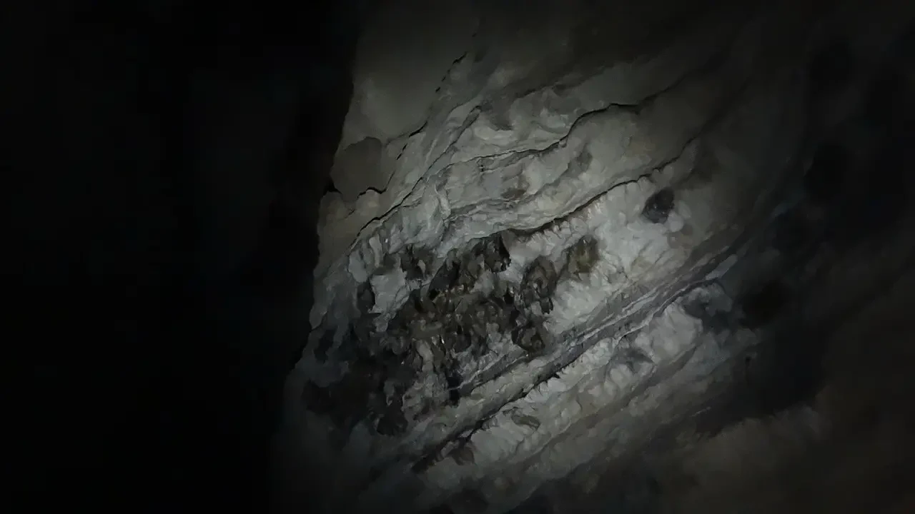 Interno scuro di una grotta rocciosa.
