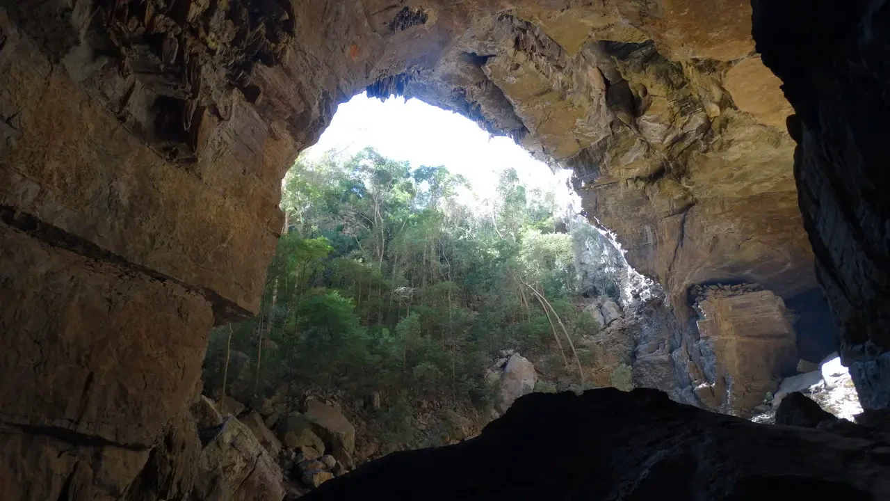 Interno di una grotta rocciosa con un'ampia apertura verso la luce del sole e la vegetazione esterna.