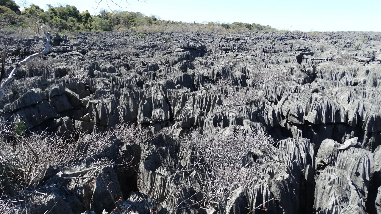 Paesaggio arido e roccioso della Tsingy a Madagascar.