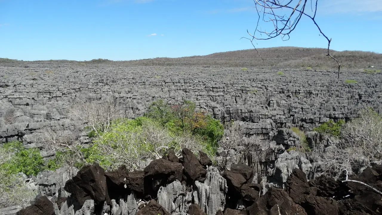 Paesaggio arido del Tsingy National Park a Madagascar con formazioni rocciose scure in primo piano.
