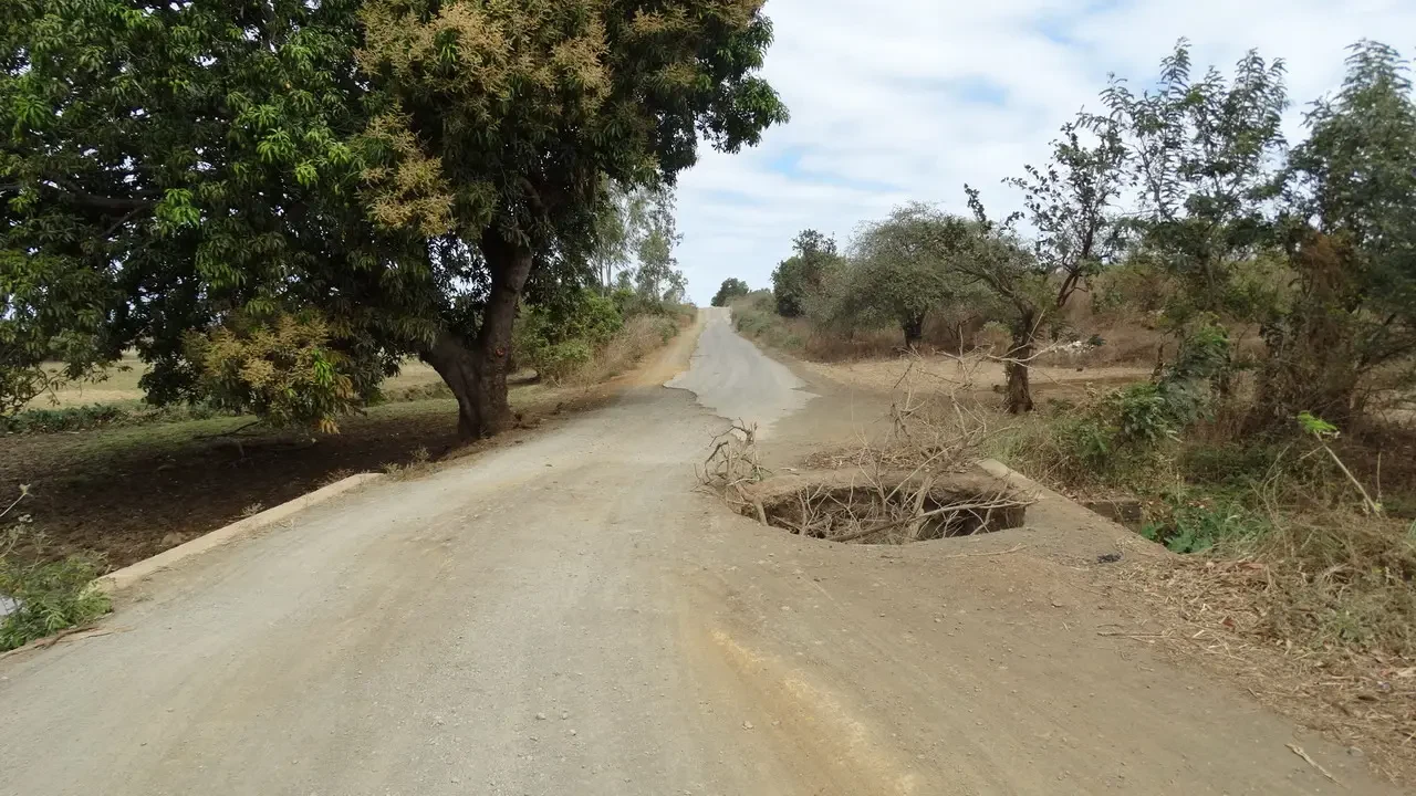 Una strada sterrata si snoda attraverso un paesaggio rurale di Madagascar con alberi lungo il bordo.