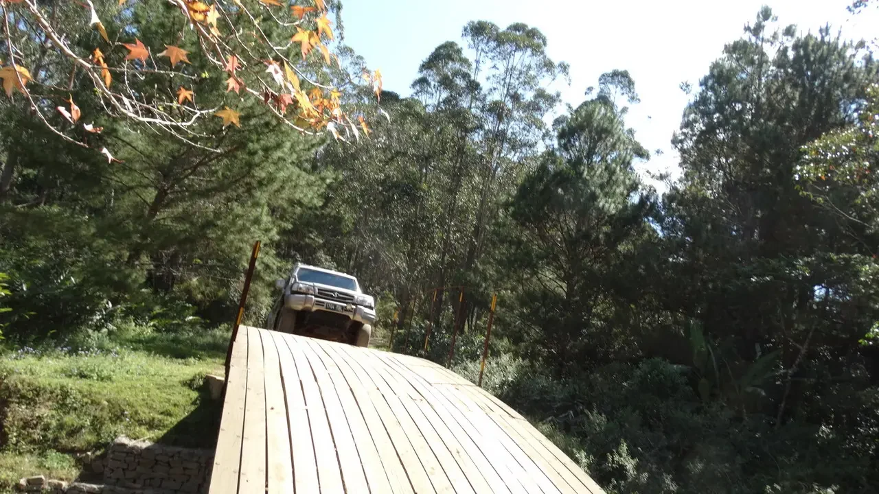 Un veicolo attraversa una strada in una zona boscosa di Madagascar.