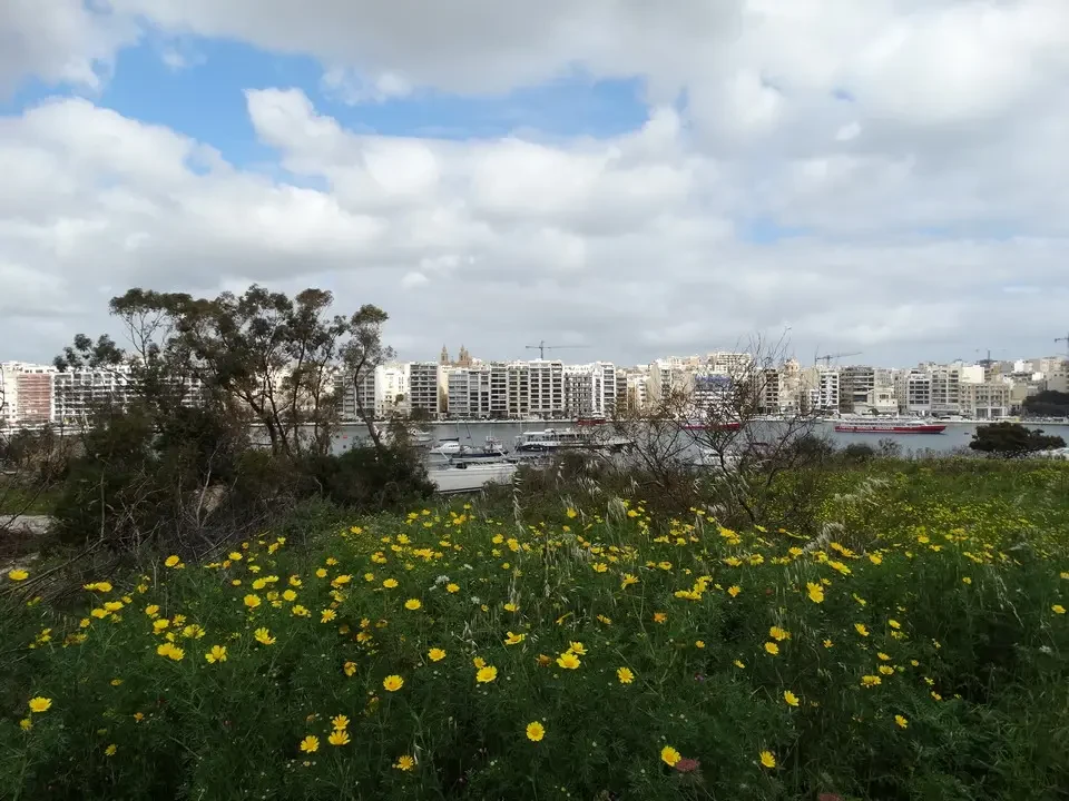Vista panoramica di edifici lungo il fiume con vegetazione in primo piano.