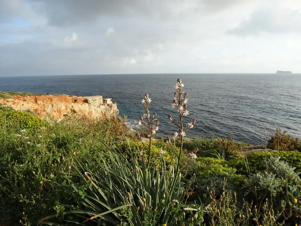 Vista costiera rocciosa con vegetazione mediterranea che si estende verso il mare sotto un cielo nuvoloso.