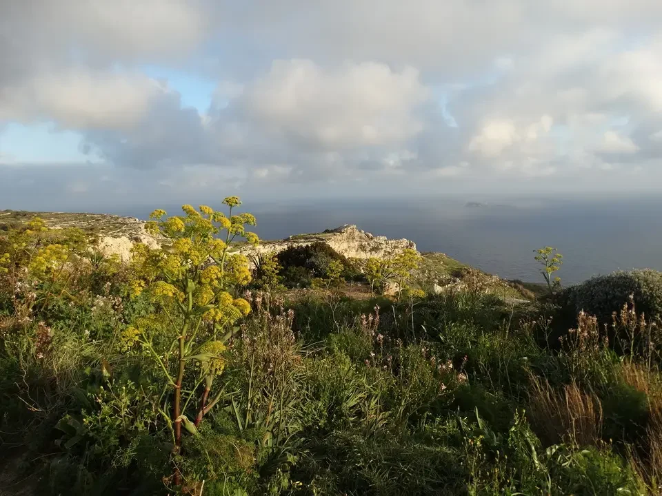 Le scogliere di Dingli sono visibili sopra il mare con un cielo nuvoloso.