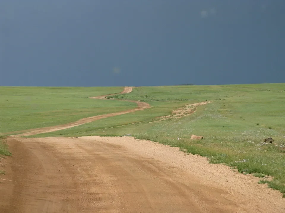 Una strada sterrata attraversa un vasto paesaggio verde in Mongolia.