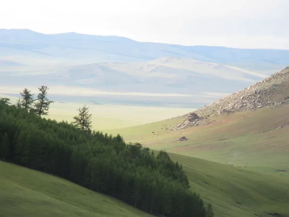Paesaggio vasto delle steppe mongole con colline ondulate e vegetazione bassa in primo piano.