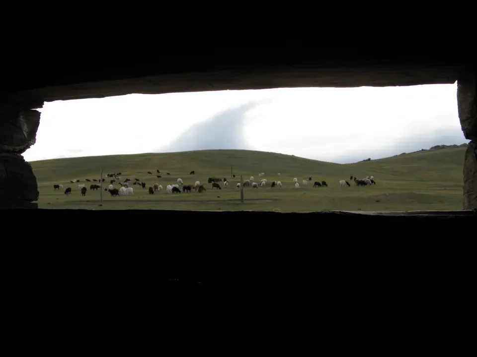 Vasto paesaggio di colline verdi con pecore che pascolano.