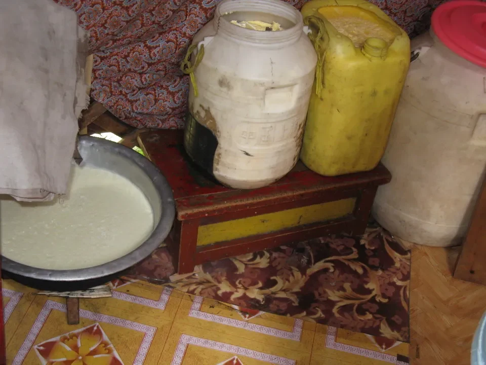 Latte o formaggio in contenitori tradizionali in Mongolia.