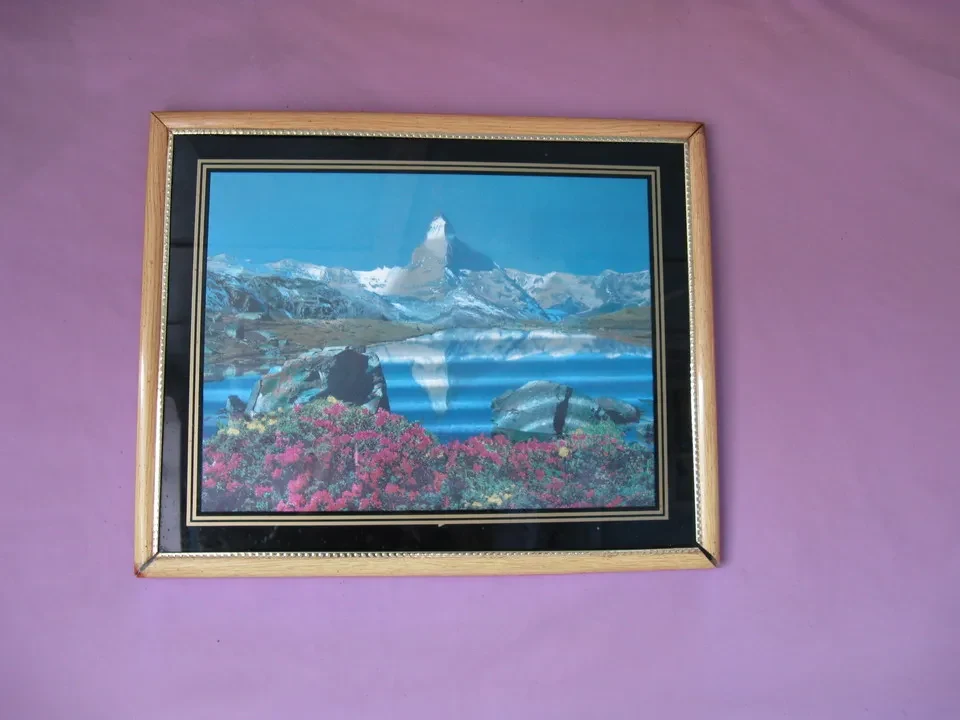Un cervo è raffigurato in un ristorante in Mongolia.