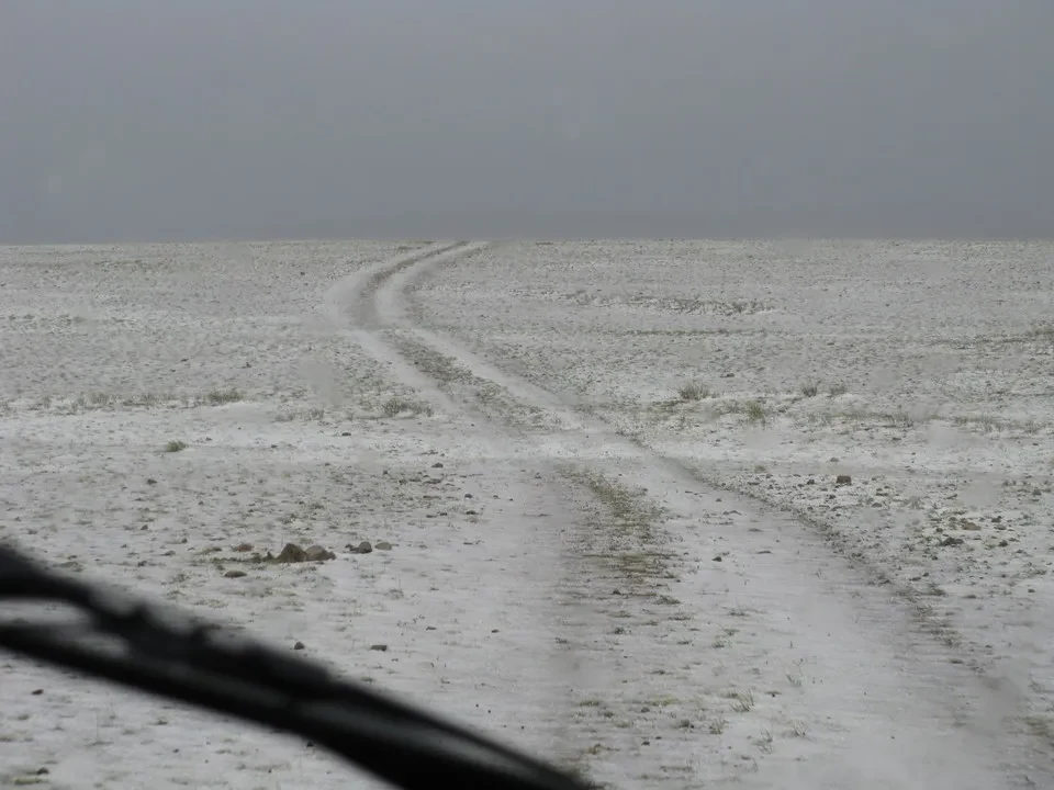 Traccia di un veicolo attraversa un paesaggio desolato in Mongolia sotto un cielo grigio.