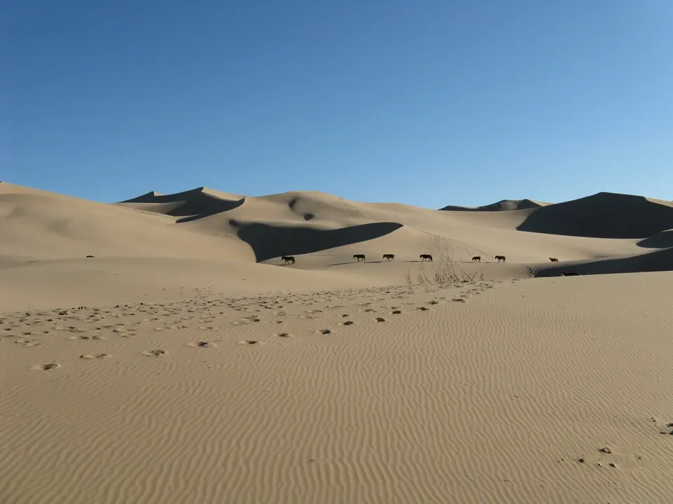 Piani di dune dorate in Mongolia sotto un cielo azzurro.