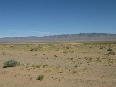 Gobi Desert II