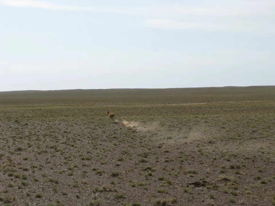 Tsagaan Suvarga