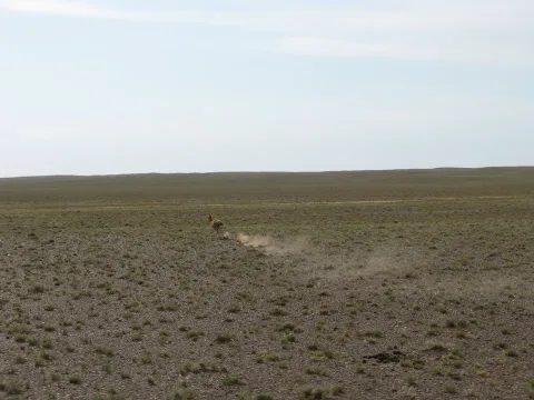 Tsagaan Suvarga