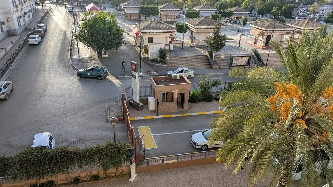 Vista di una strada alberata con edifici e palme in Algeria.