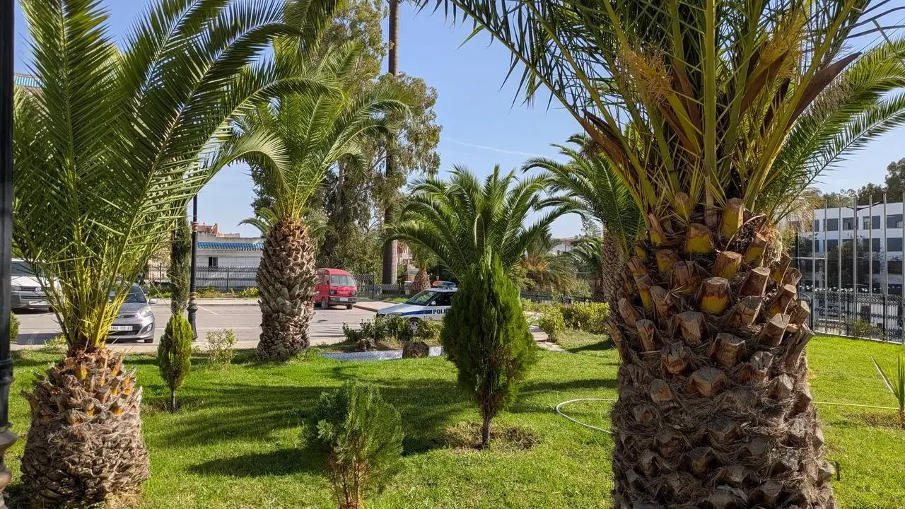 Moschea di Constantine Abdelkader visibile in un parco algerino.