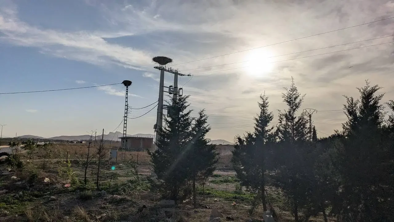 Paesaggio arido con linee elettriche che attraversano un campo aperto sotto un cielo luminoso.