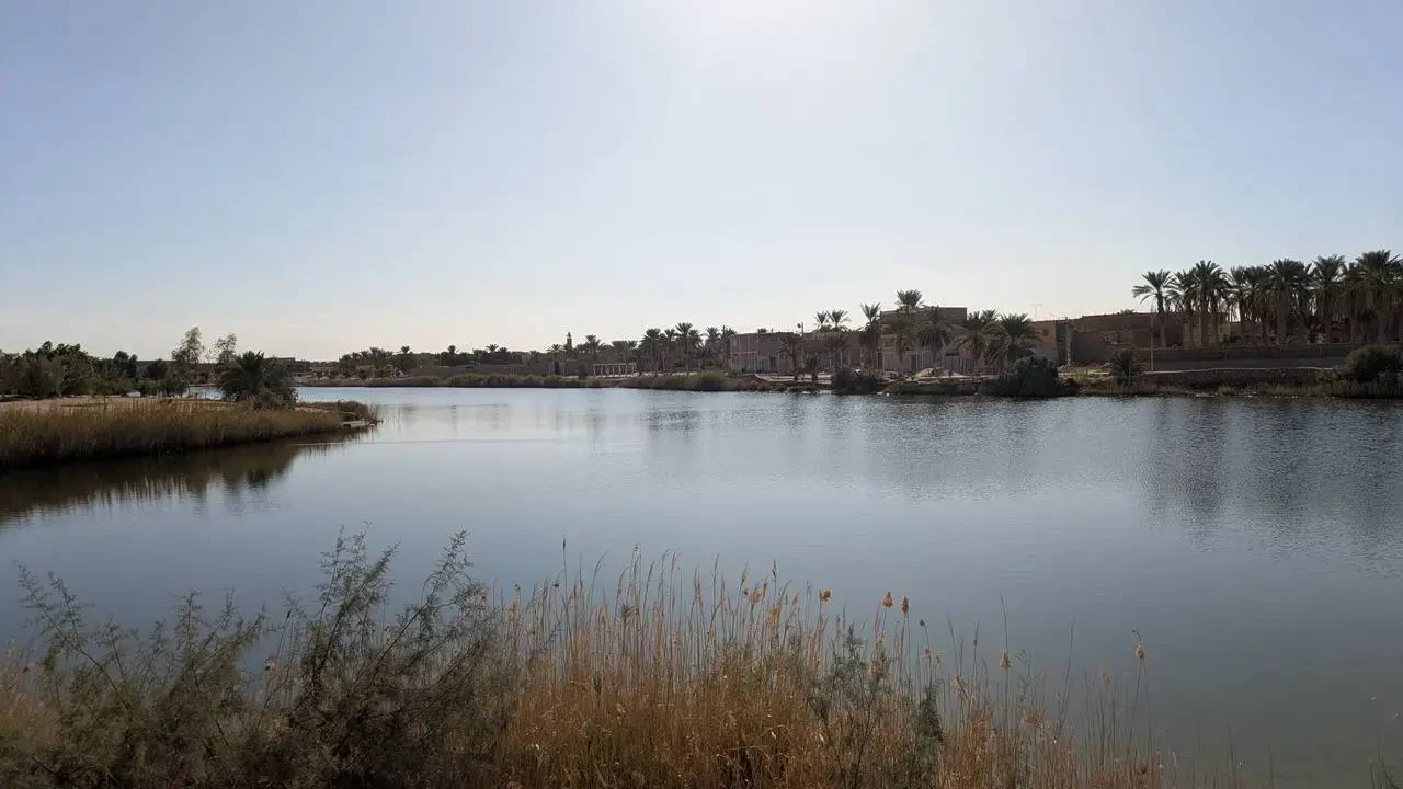 Un lago tranquillo circondato da palme e vegetazione in un paesaggio algerino.
