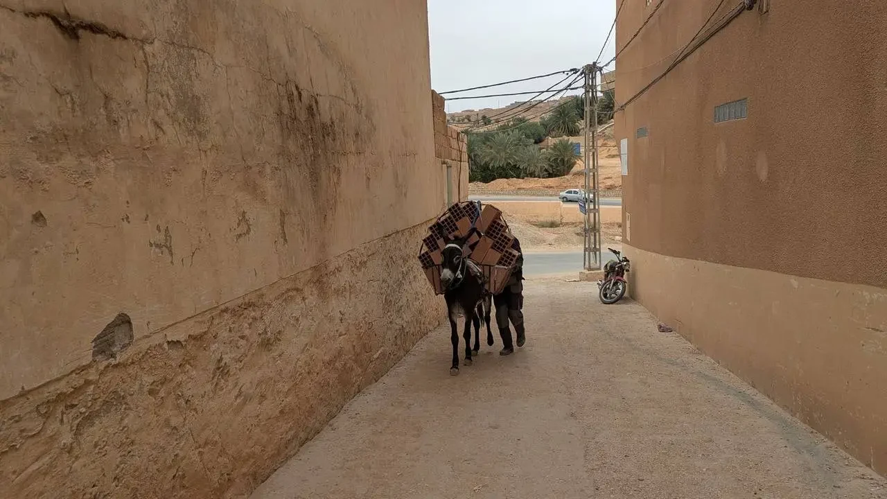 Un asino trasporta carichi su una strada stretta in un villaggio algerino.