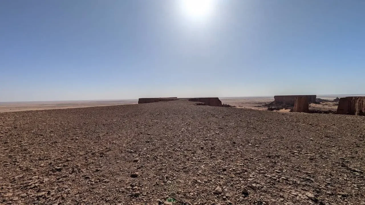 Paesaggio desertico con formazioni rocciose all'orizzonte in Algeria.
