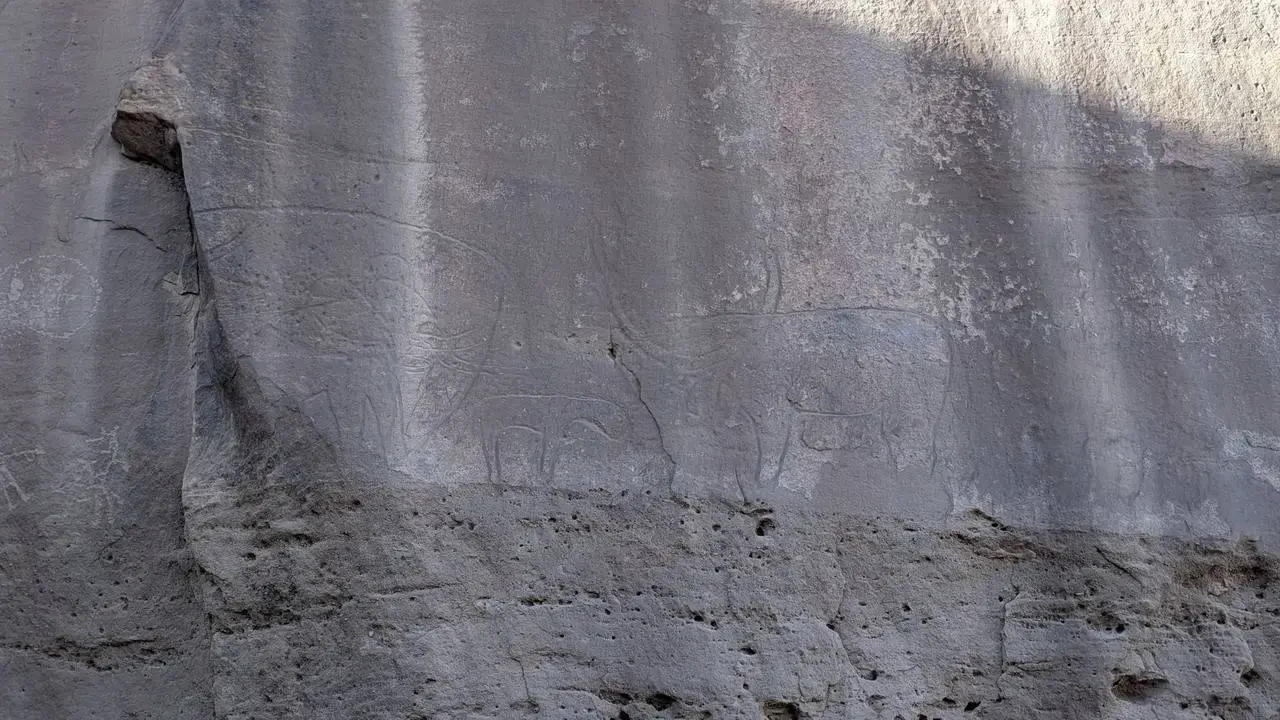 Petroglifi visibili sulla parete rocciosa in Algeria.