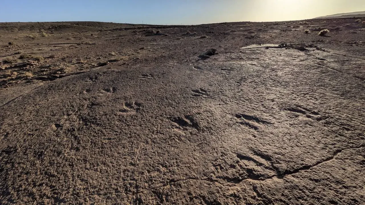 Impronte di zampe di dinosauro visibili su un paesaggio arido in Algeria.
