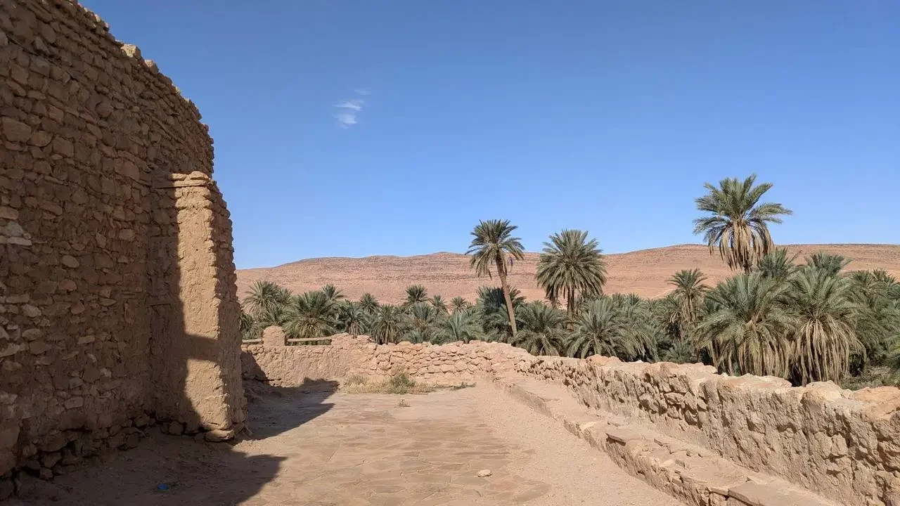 Mura di pietra antiche delimitano un sentiero tra palme e paesaggi aridi in Algeria.
