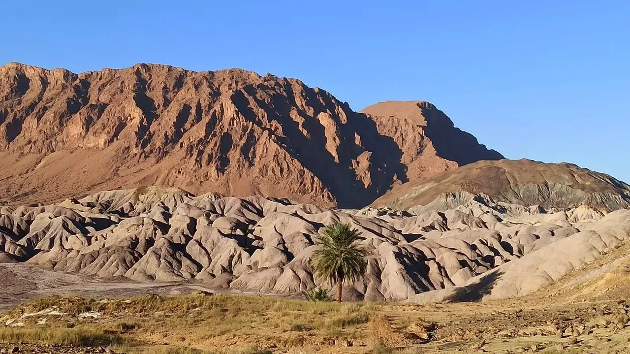 Paesaggio desertico con dune e vegetazione in primo piano.