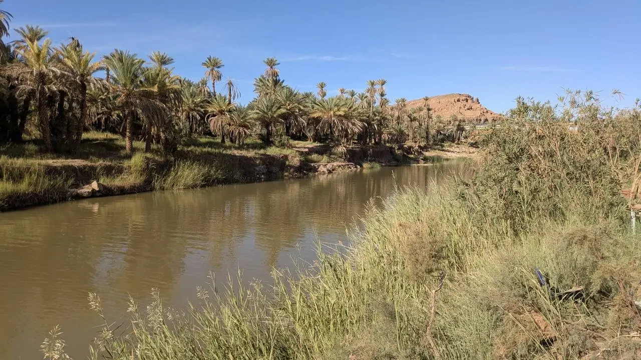 Un fiume serpeggia attraverso una vegetazione di palme in un paesaggio arido.