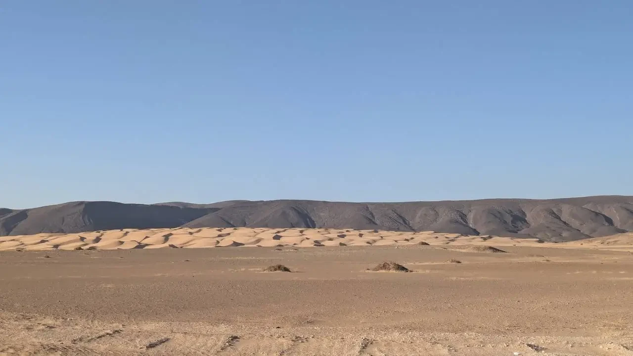Paesaggio desertico in Algeria con colline ondulate all'orizzonte sotto un cielo azzurro.