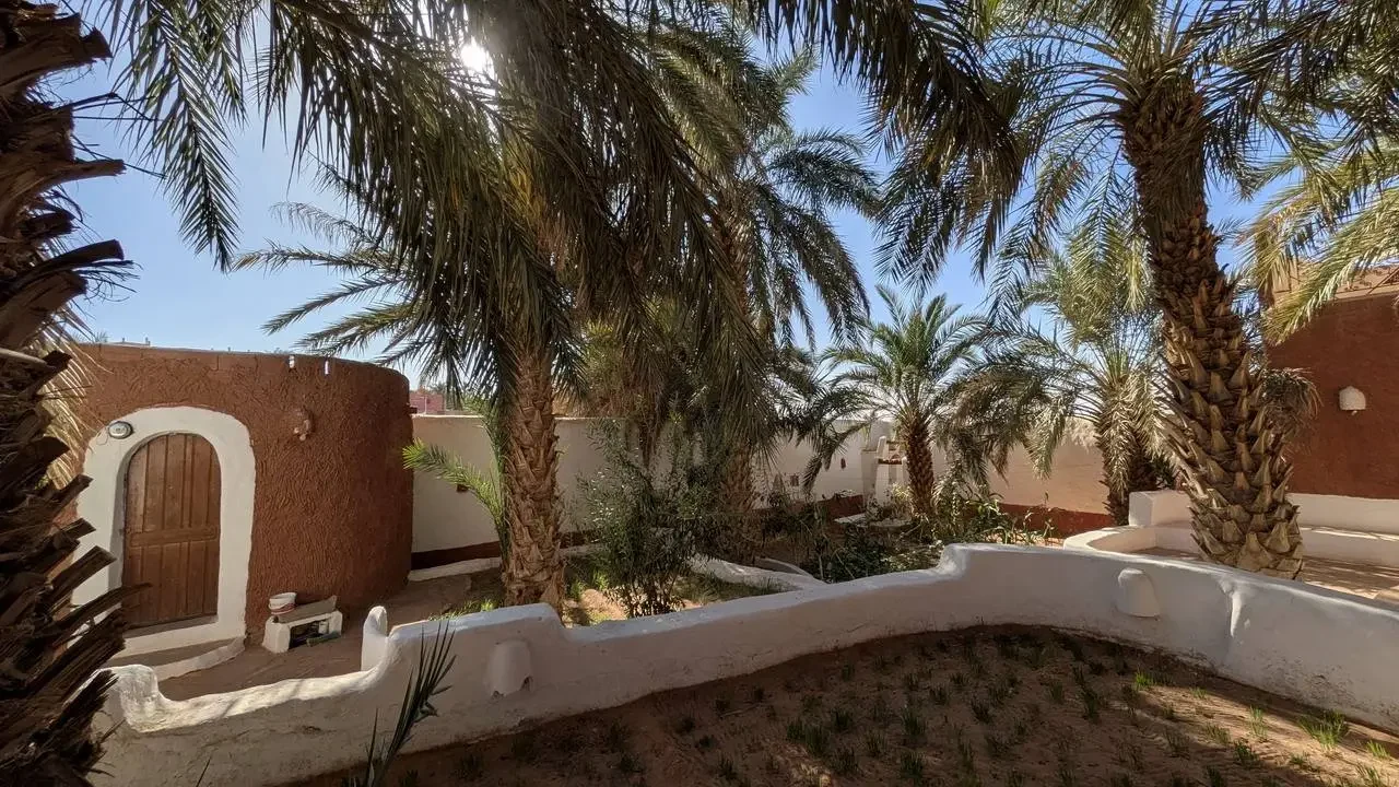 Architettura esterna con pareti ocra e bordure bianche circondata da palme in un ambiente soleggiato.