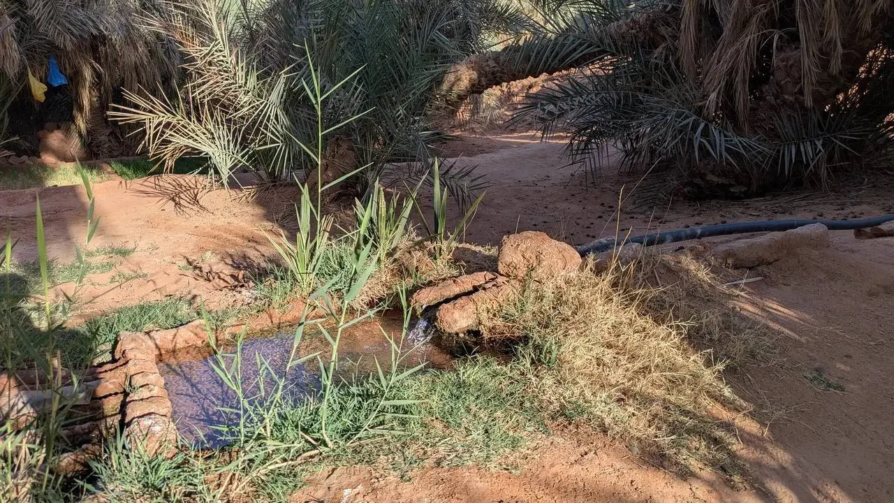 Un piccolo ruscello scorre attraverso un paesaggio desertico in Algeria.