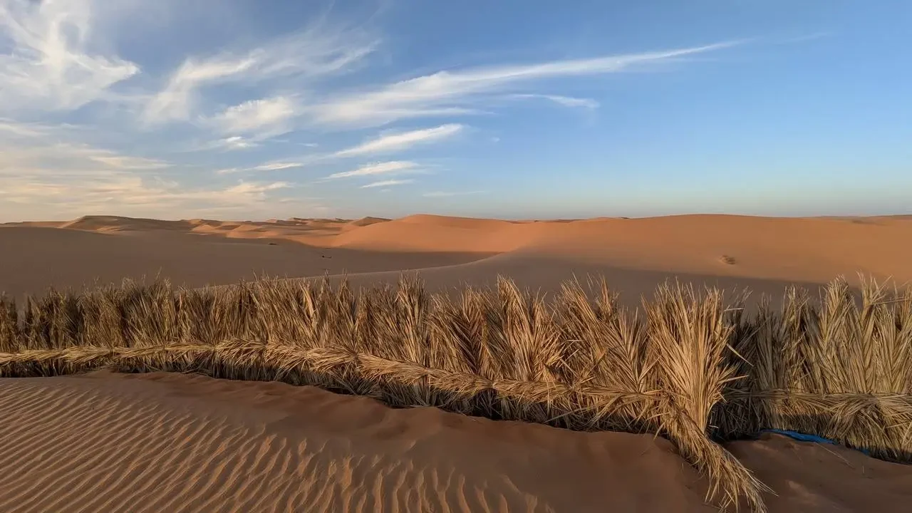 Dune di sabbia dorata con vegetazione bassa nel deserto al tramonto.