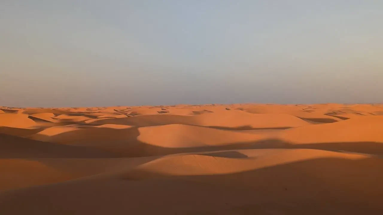 Dune del deserto all'alba o al tramonto in Algeria.