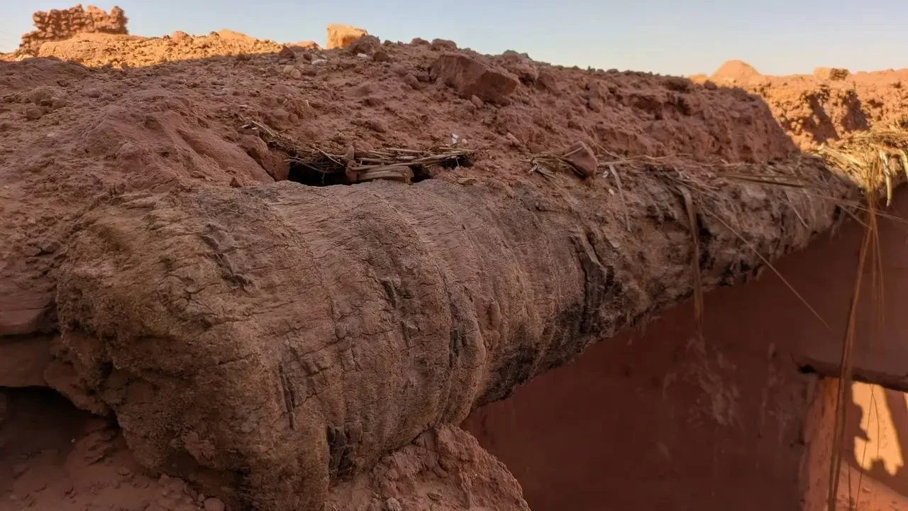Terreno arido e ondulato nel deserto algerino.