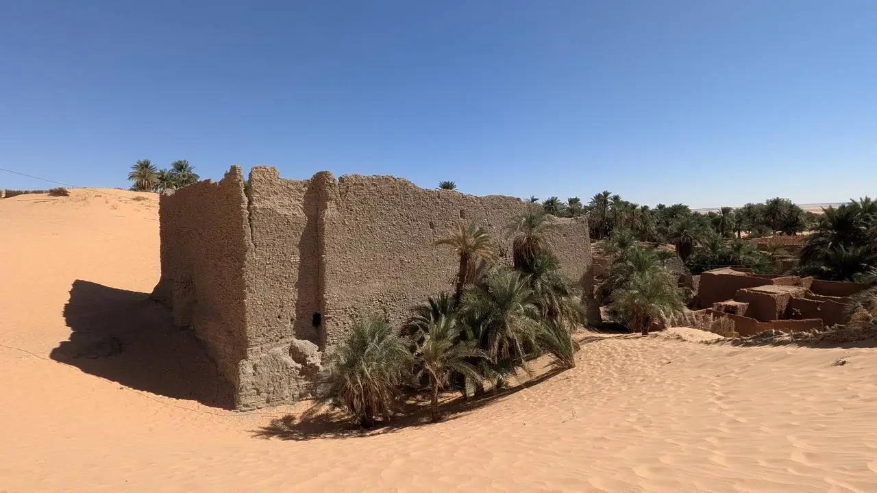 Mura di terra nella sabbia con palme in primo piano in Algeria.