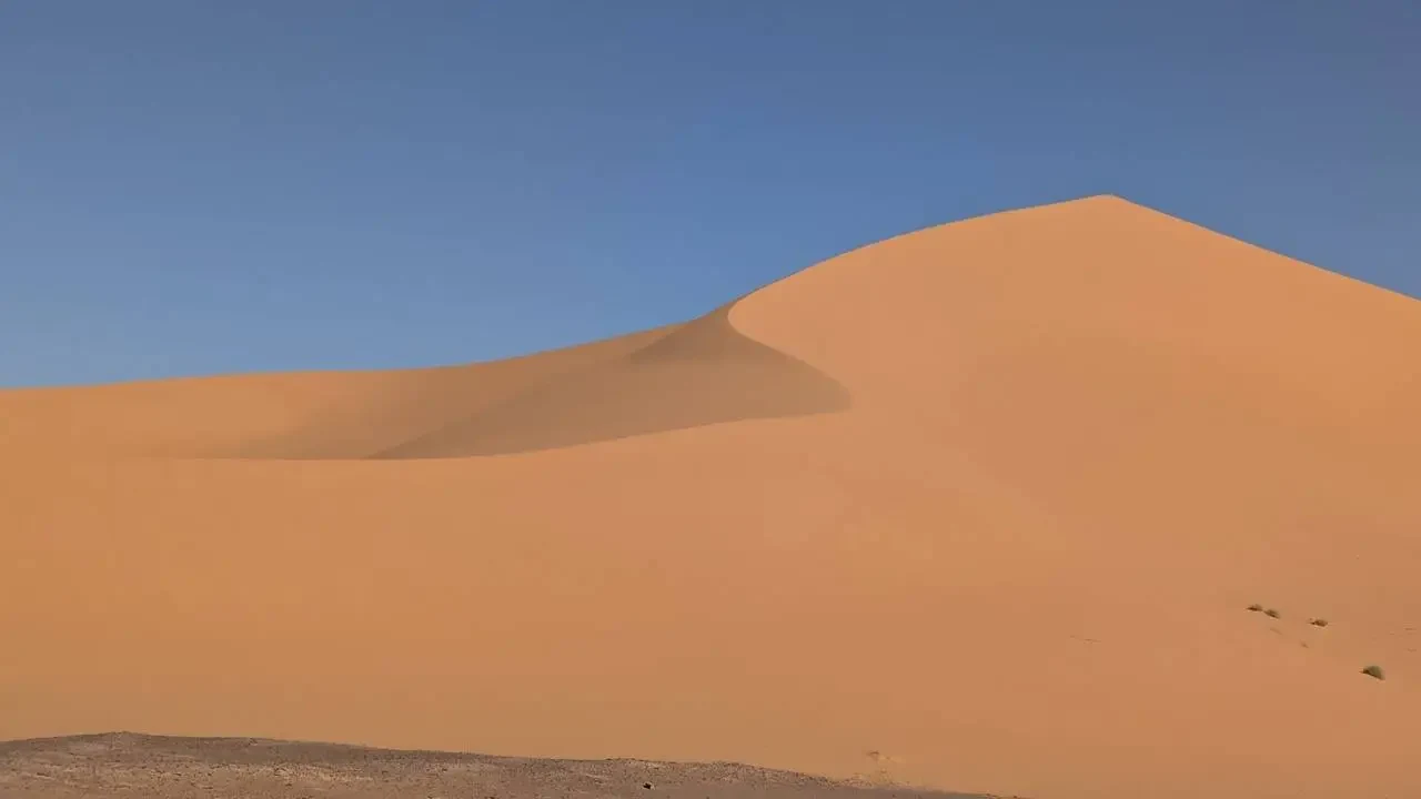Dune dorate del deserto dell'Algeria sotto un cielo azzurro.