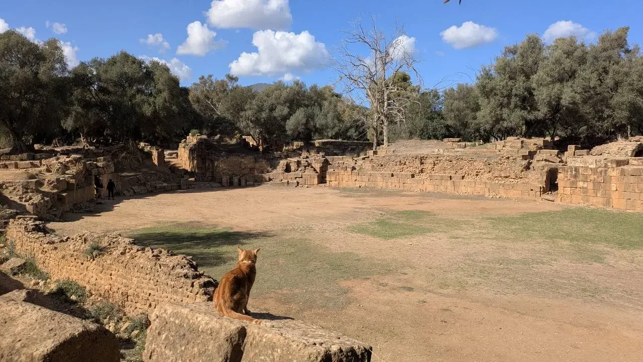 Rovine antiche di Tipasa con vegetazione circostante.