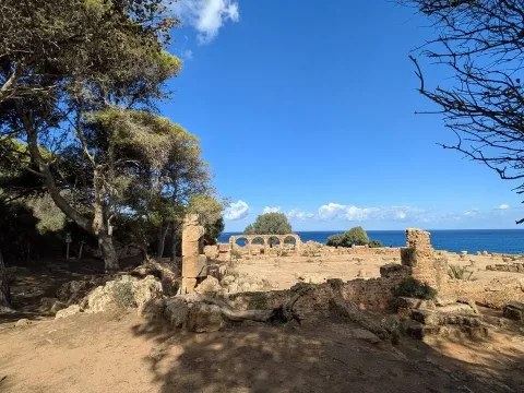 Addio Timimoun, buonasera Algeri