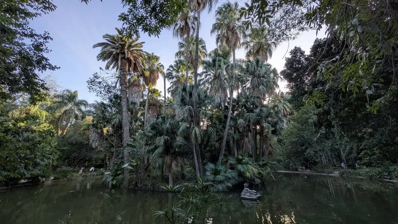 Una scena serena con palme che riflettono sull'acqua di uno stagno verde.