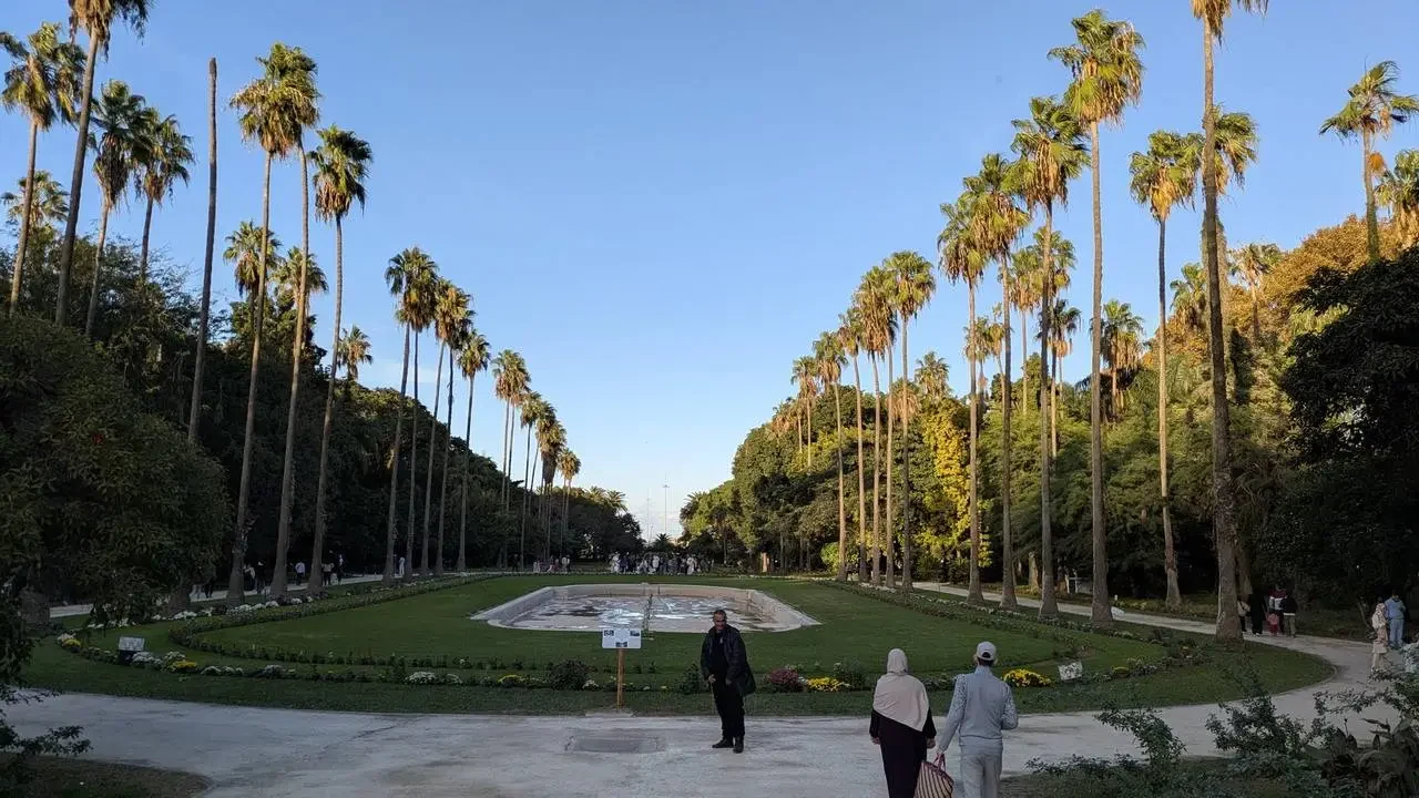 Vista ampia di un giardino alberato con numerose palme lungo il viale.