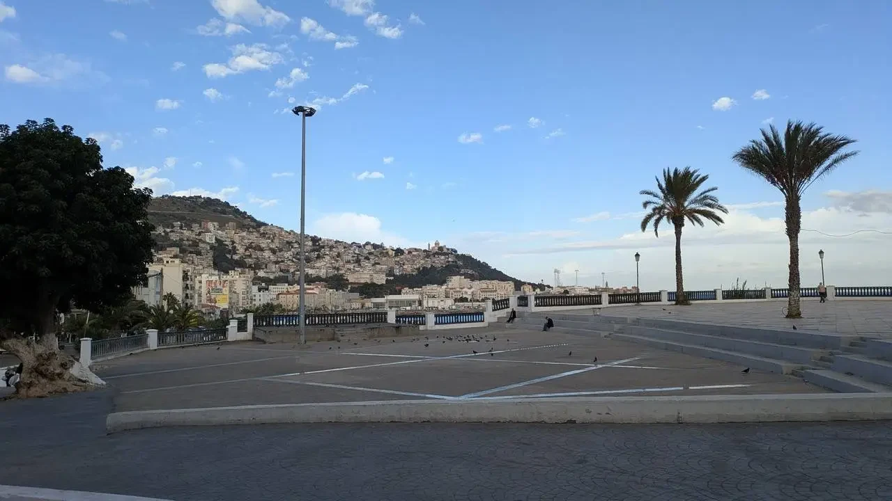 Vista panoramica della città di Algeri con una linea costiera e palme.