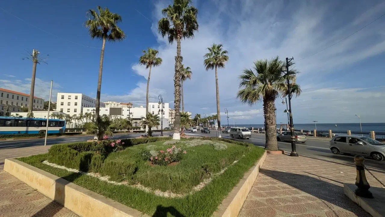 Una veduta panoramica della città di Algeri con palme lungo la strada costiera.