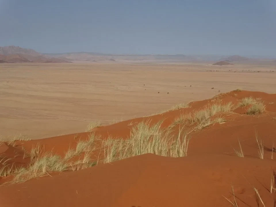Un paesaggio desertico rosso con dune di sabbia e erba secca sotto un cielo chiaro.