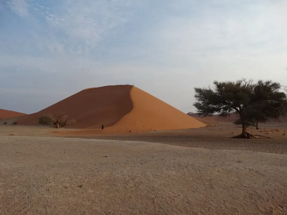 Dune arida con alberi isolati nel paesaggio del deserto.