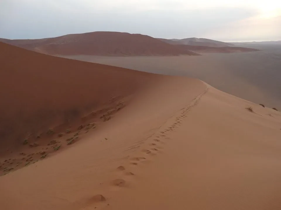 Dune aride nel paesaggio del Namib, Botswana e Zimbabwe.