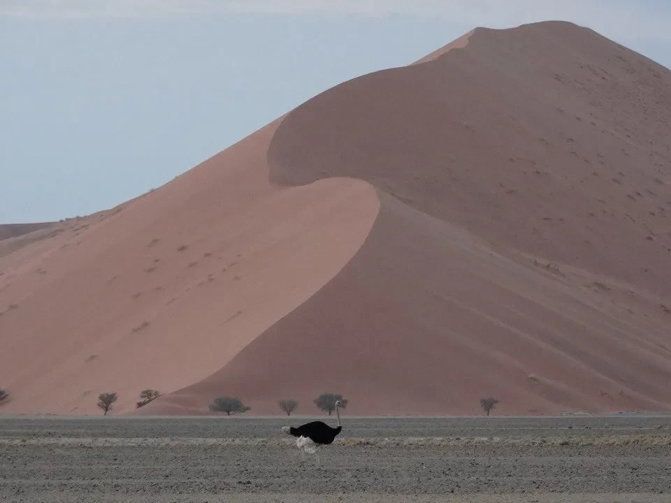 Una duna sabbiosa rossa domina il paesaggio del deserto in Namibia.